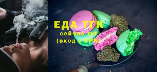 крисы Новозыбков