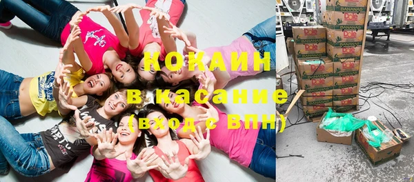 крисы Новозыбков