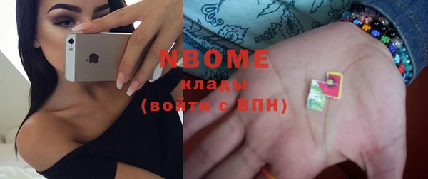 крисы Новозыбков