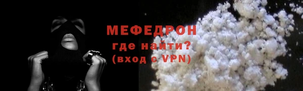 сатива Новодвинск