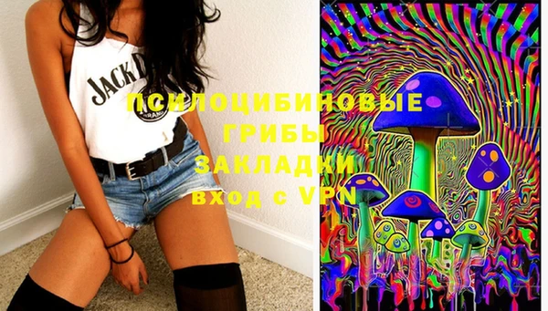 прущая мука Алзамай